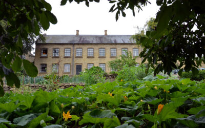 Middag med afgrøder fra museets have i samarbejde med Kulinarisk Sydfyn